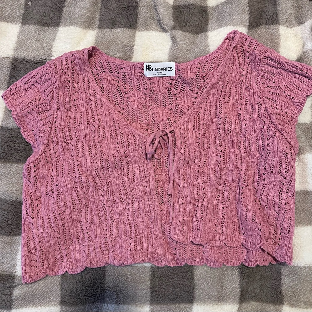 No Boundaries Mauve Crochet Crop Top